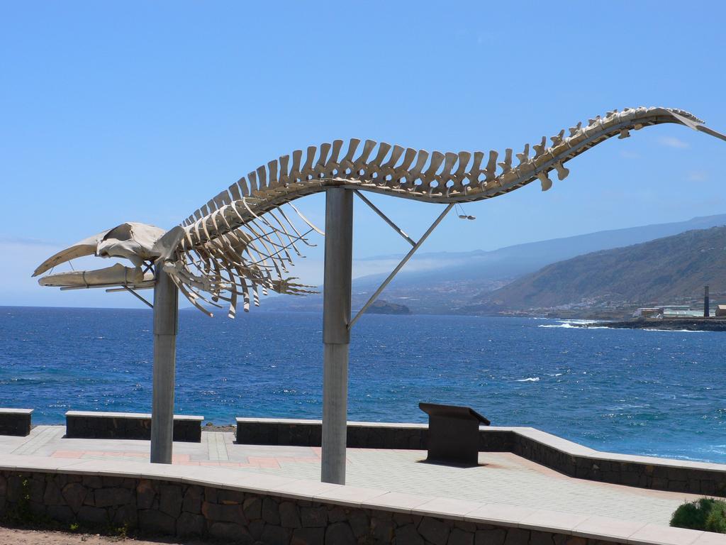 Almar Apartment Caleta de Interián Dış mekan fotoğraf